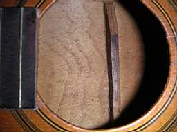 Lyon-Healey 1_2-sized Parlor PICT1427.jpg